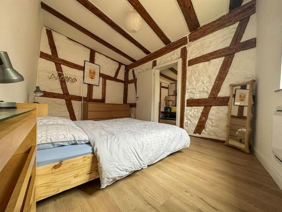 Nouvel Appartement, Le Colombage Heureux Sélestat Exteriér fotografie