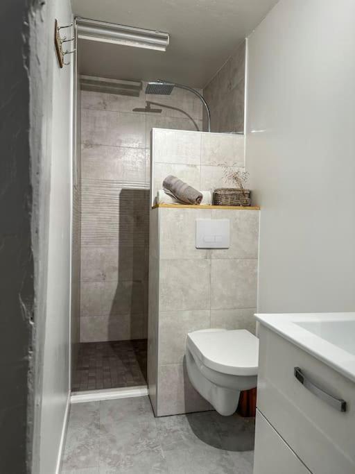 Nouvel Appartement, Le Colombage Heureux Sélestat Exteriér fotografie